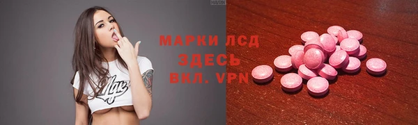 скорость Каменка