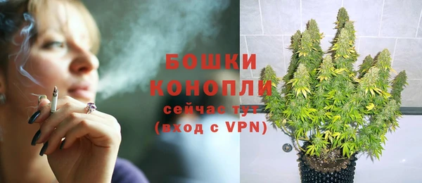 скорость Каменка