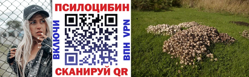 Купить  Калтан  Галлюциногенные грибы Magic Shrooms 